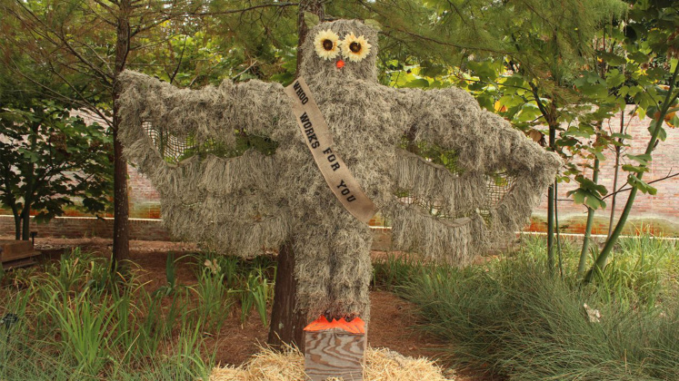 Whoo Owl, 2016