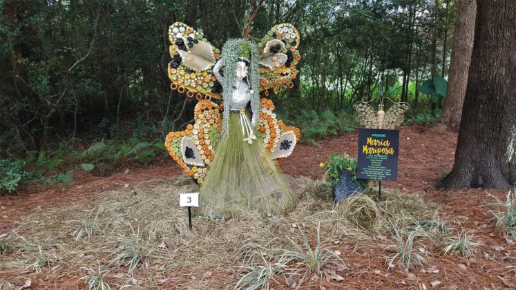 Maria Mariposa, 2019