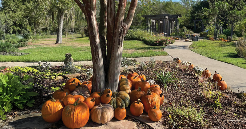 Beaumont Botanical Gardens