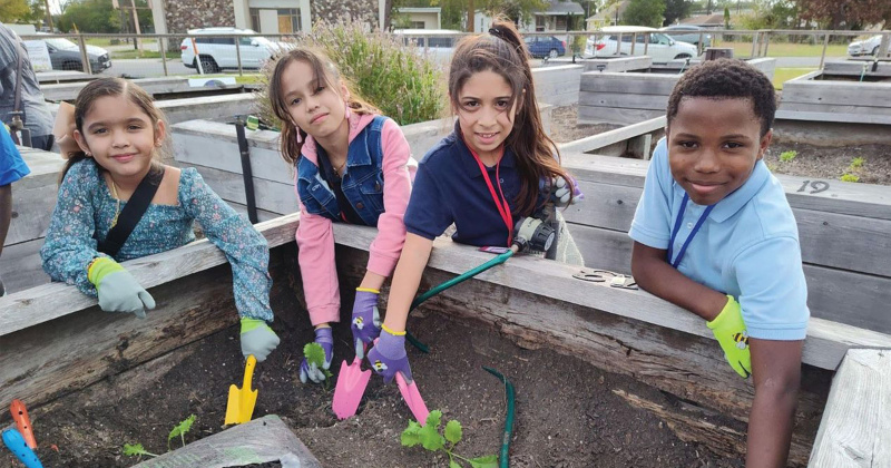 Established in 2019, the West Port Arthur Community garden serves as a hub of both learning and generosity.
