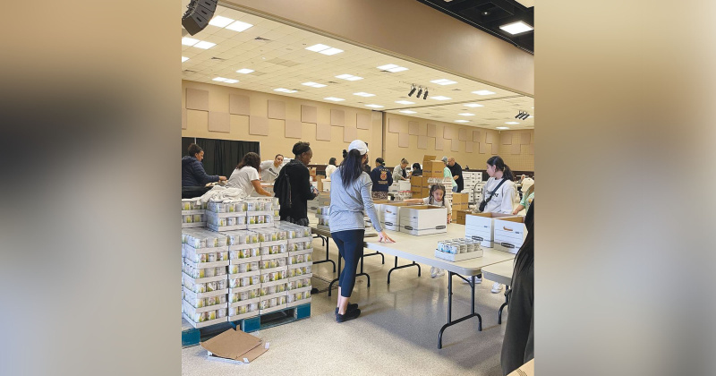 Dozens of volunteers roll up their sleeves to fill 600 Thanksgiving dinner boxes for area recipients on behalf of Everlasting Changes, a Mid-County non-profit organization, now in its 15th season of giving.