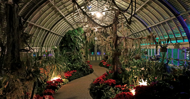 Epiphyte House