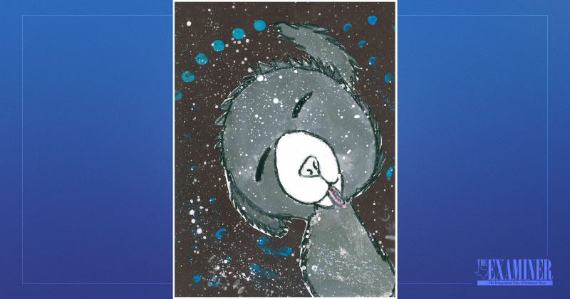 Raylan Bass, 2nd Grade, Fehl-Price Elementary