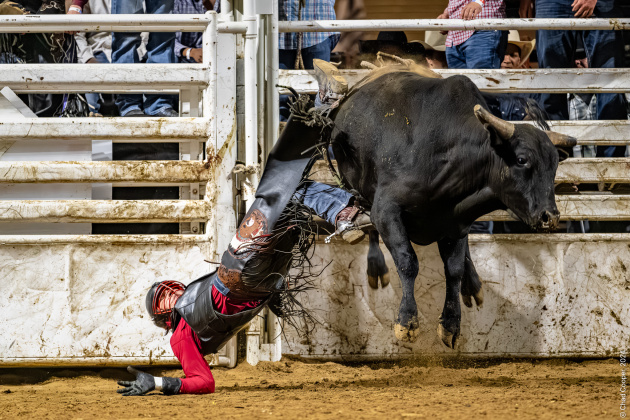 YMBL Rodeo (Photos by Chad Cooper)