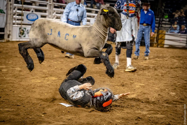 Mutton bustin (Photos by Chad Cooper)