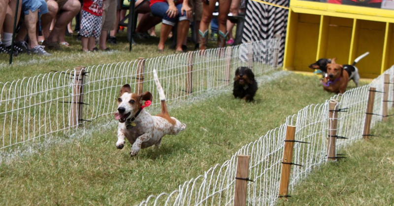 (texascrabfestival.org)