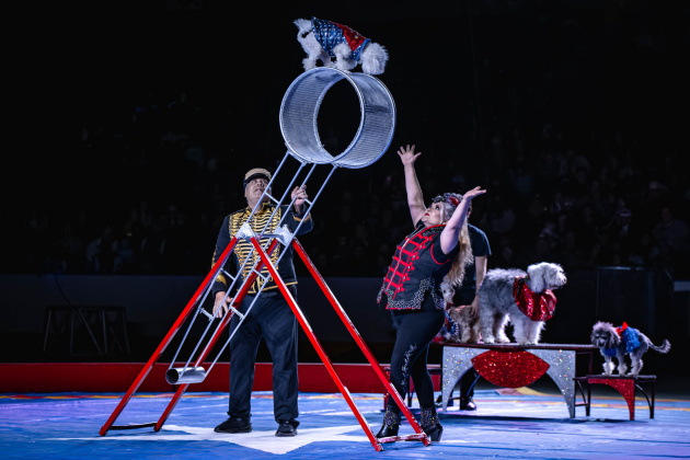 Bmt Super Circus (Photo by Chad Cooper)