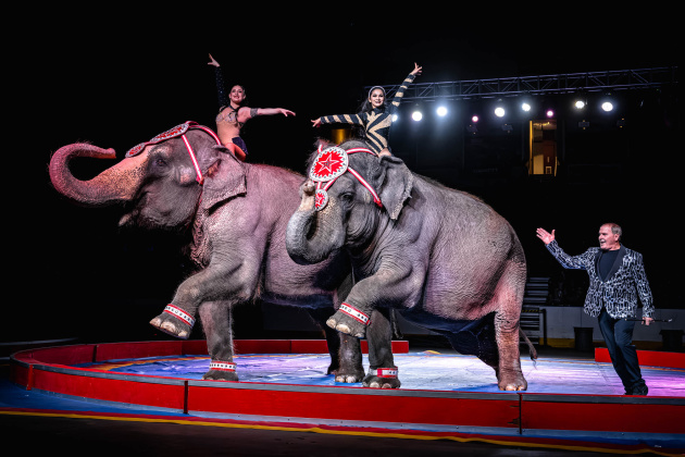 Bmt Super Circus (Photo by Chad Cooper)