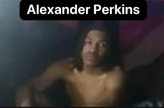 Alexander Perkins