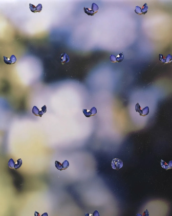 A photo from Justin LeBlanc's "Flowers," courtesy image.