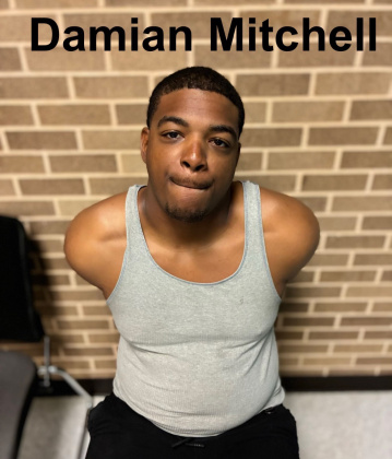 Damian Mitchell