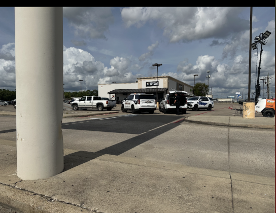 Ned traffic stop 
