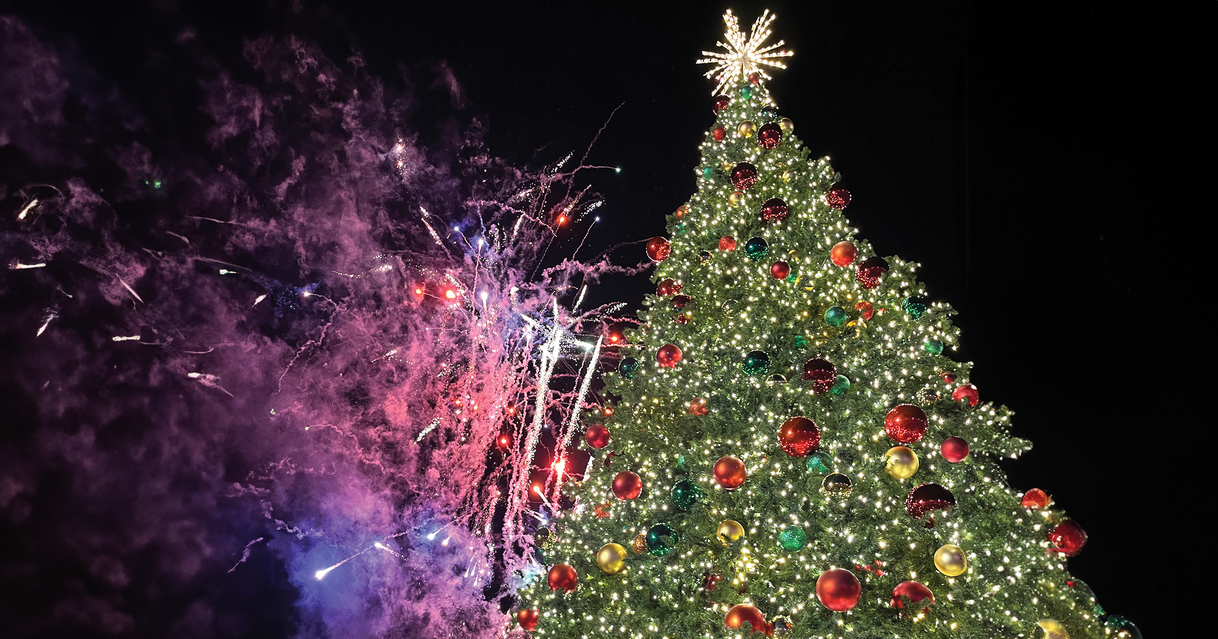 Großer Weihnachtsbaum in Beaumont |  Prüfer |